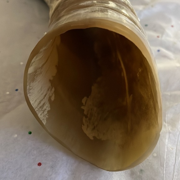 Natural Ox Bull Horn Carved Face HandCarved From Chile - Picture 7 of 9